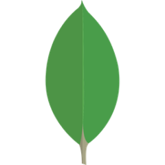 MongoDB